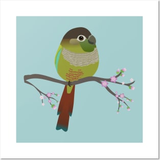 Cute egg shaped green cheek conure Posters and Art